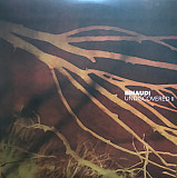 Вінілова платівка Ludovico Einaudi – Undiscovered 2LP