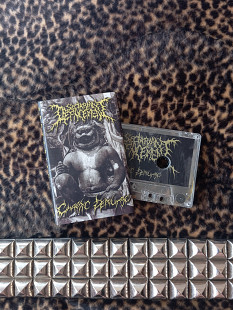 Sectarian Defacement - Chaotic Demiurge (cs, 2025)