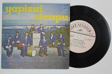 Пластинка Виа ''Чаривни гитары'' - ДОБРЫЙ ДОЖДИК * Ганка * Десятый класс * Вместе с гитарой (1976) Е