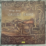 LP James Gang ‎– Straight Shooter (1977)