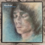 LP Steve Hackett ‎– Spectral Mornings (1979)