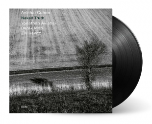 Avishai Cohen - Naked Truth