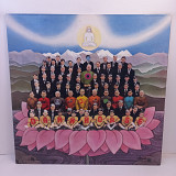 George Harrison – Dark Horse LP 12" (Прайс 47215)
