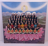 George Harrison – Dark Horse LP 12" Germany
