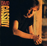 David Cassidy 1990 - David Cassidy (firm., US)