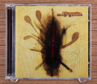 David Sylvian - I Surrender (Англия, Virgin)