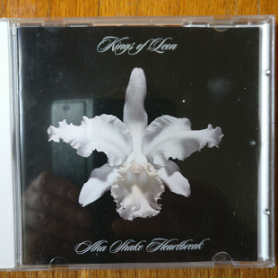 Kings Of Leon – Aha Shake Heartbreak