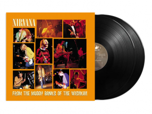 Nirvana - From The Muddy Banks of Wishkaw