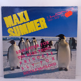 Various – Maxi Summer LP 12" (Прайс 47346)