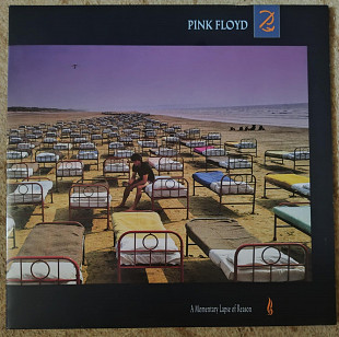 Pink Floyd ‎– A Momentary Lapse Of Reason