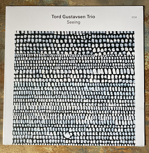 Tord Gustavsen Trio – Seeing