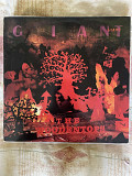 The Woodentops – Giant, 1986, RTD 38, Germany (ЕХ/ЕХ+, вставка есть) - 350 (Indie Rock)