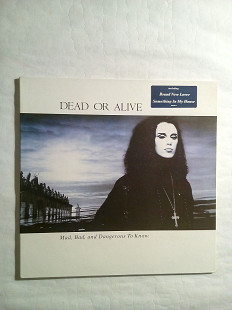 Dead Or Alive 87 Holland Vinyl MINT