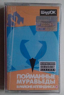Пойманные Муравьеды – В Районе Аппендикса