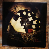Ossicles – Music For Wastelands – 2LP