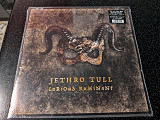JETHRO TULL “Curious Ruminant”