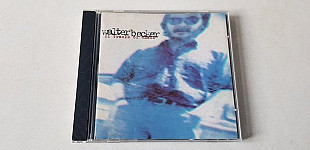 Walter Becker 11 Tracks Of Whack