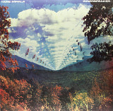 Вінілова платівка Tame Impala - Innerspeaker [2LP]
