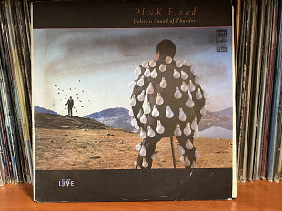 Pink Floyd Delicate Sound of Thunder