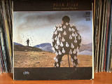 Pink Floyd Delicate Sound of Thunder