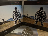 Pink Floyd Delicate Sound of Thunder