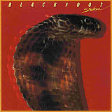 Blackfoot 1979 - Strikes