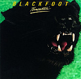 Blackfoot 1980 - Tomcattin'