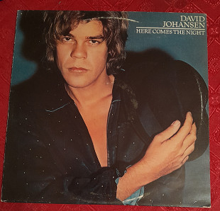 DAVID JOHANSEN (ex - New York Dolls) - Here comes the night
