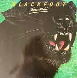 Blackfoot - Tomcattin'