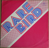 Rare Bird ‎– Rare Bird (Polskie Nagrania Muza ‎– SX 1237, Poland) EX/EX+