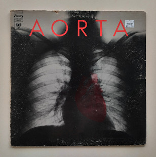 Aorta – Aorta