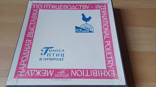 Голоса птиц в природе(5x 7" box)1966