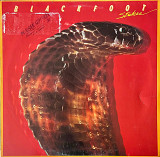 Blackfoot - Strikes