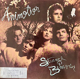 Animotion – Strange Behavior
