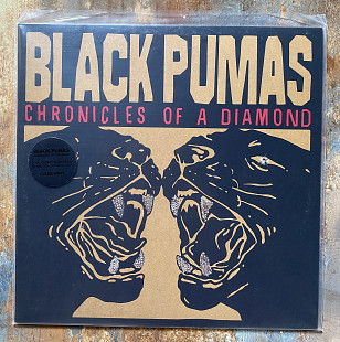 Black Pumas – Chronicles Of A Diamond – LP Clear