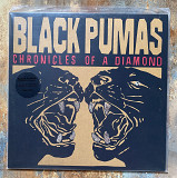 Black Pumas – Chronicles Of A Diamond – LP Clear