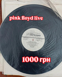 Ping Floyd Live