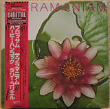 Subramaniam - Blossom