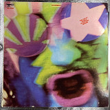 Вінілова платівка The Crazy World Of Arthur Brown (1968)