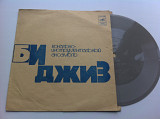 Би Джиз - Любить Кого-то (Flexi, 7", Mono) 1975 EX