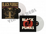 Black Pumas - Black Pumas / Chronicles of a Diamond.