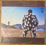 Pink Floyd Delicate Sound Of Thunder