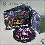 WHEN BITTER SPRING SLEEPS "Spirit in Flames" digipack sleeve cd