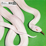 Deftones – Private Music (Clear Vinyl)