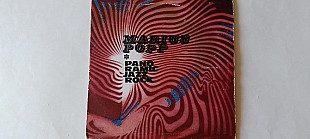 Marius Popp Panoramic jazz rock