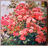 Мигель Рамос, орган «Хаммонд» 1978г.