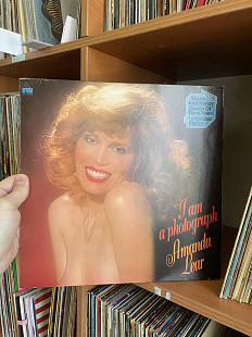 Amanda Lear – I Am A Photograph (1-й альбом), 1977, Ariola – 25 473 OT, Germany (ЕХ/ЕХ+) - 300