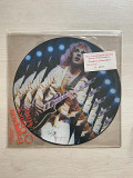 Peter Frampton – Frampton Comes Alive! (Rare, Limited Edition, нумерованный - номер 49305, Picture D