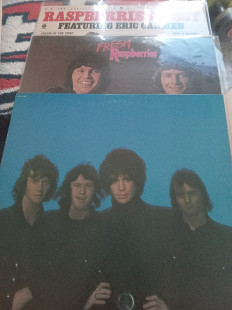 3 mint Raspberries
