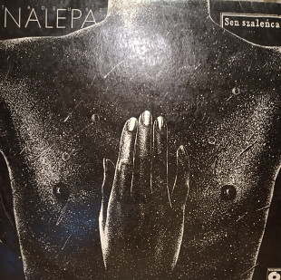 Tadeusz Nalepa – Sen Szaleńca Blues Rock 1987